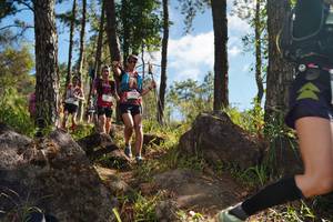 BIB: 1319
                            <button type="button" onclick="openModal(18950807)" class="btn btn-primary btn-sm float-right btn-popup" data-toggle="modal" data-target=".modal-high-quality">
                        <i class="fas fa-shopping-cart"></i> Add to Cart
                    </button>
                                            <button type="button" onclick="isThisMe(18950807, true)" class="btn btn-success btn-sm float-right btn-popup btn-isme hidden" data-toggle="tooltip" data-placement="bottom" title="นี่คือรูปของคุณใช่ไหม คลิกที่นี่เพื่อเอาเข้าอัลบั้ม">
                        <i class="fas fa-plus"></i> Add to album
                    </button>
                    <button type="button" onclick="isThisMe(18950807, false)" class="btn btn-warning btn-sm float-right btn-popup btn-isnotme hidden">
                        <i class="fas fa-ban"></i> Remove from album
                    </button>